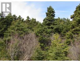 9 Cove Road, Colliers, Newfoundland & Labrador