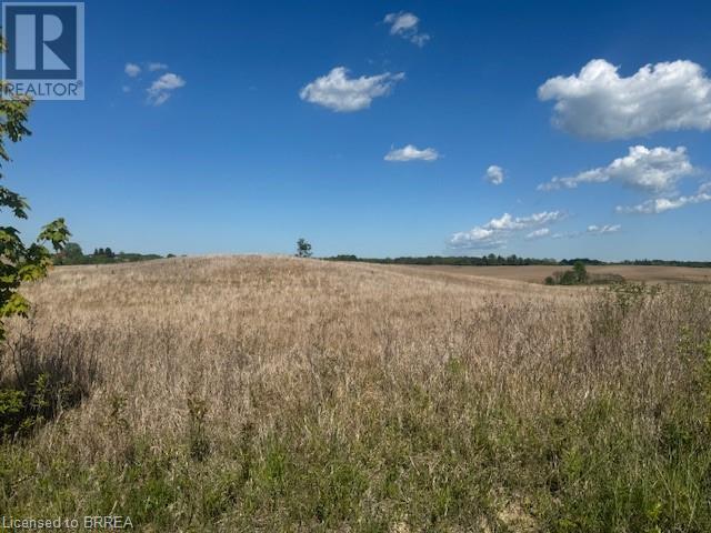 137 Sour Springs Road, Brantford, Ontario  N0E 1K0 - Photo 20 - 40721434