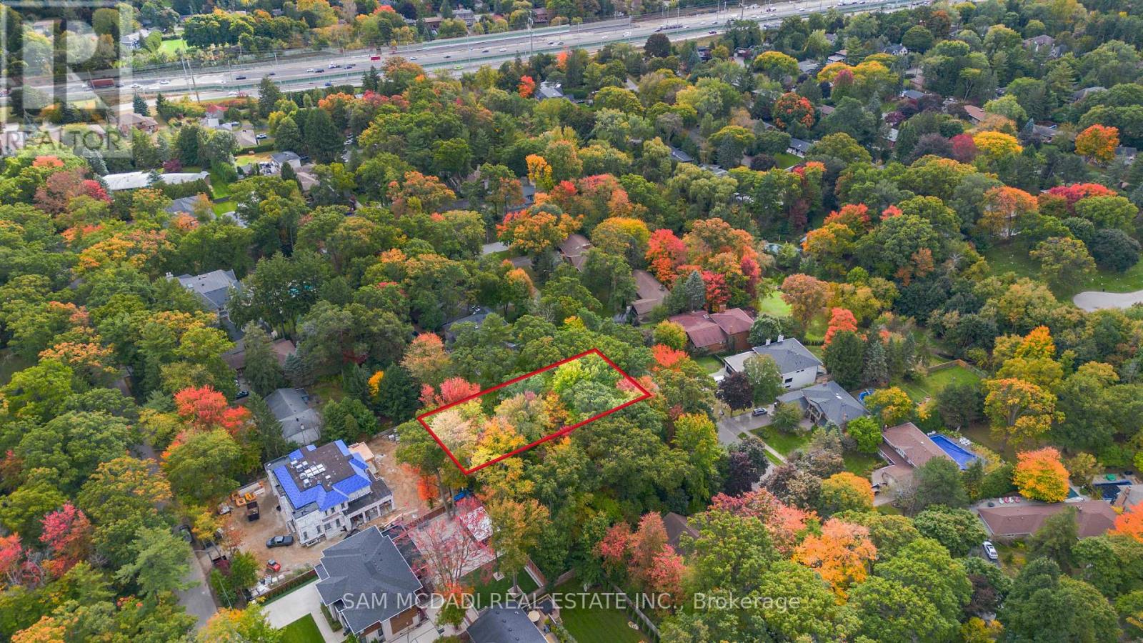 2115 Lynchmere Avenue, Mississauga, Ontario  L5B 1W7 - Photo 4 - W12198252