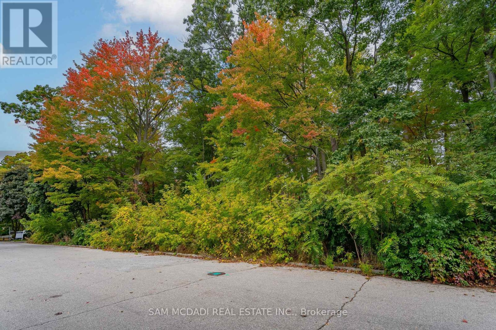 2115 Lynchmere Avenue, Mississauga (Cooksville), Ontario  L5B 1W7 - Photo 8 - W12198252