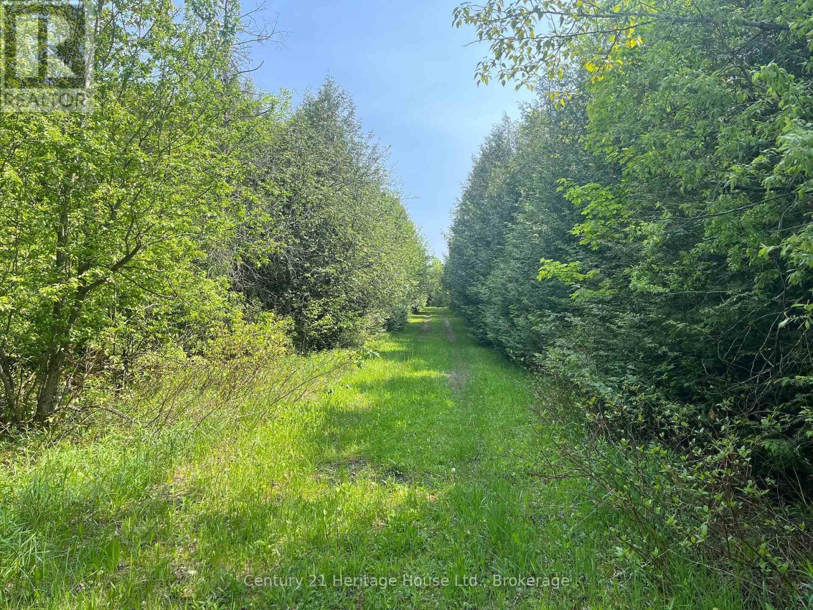 502774 Sideroad 9 Wgr, West Grey, Ontario  N0G 1R0 - Photo 2 - X12198610