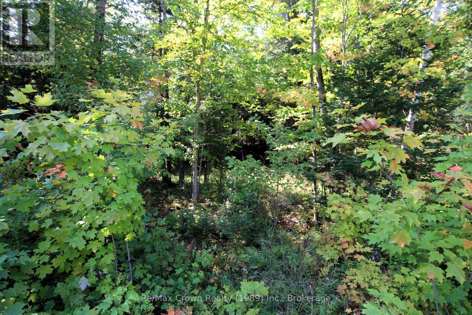 0 Lover's Lane, Parry Sound Remote Area (East Mills), Ontario  P0H 1S0 - Photo 2 - X12198660