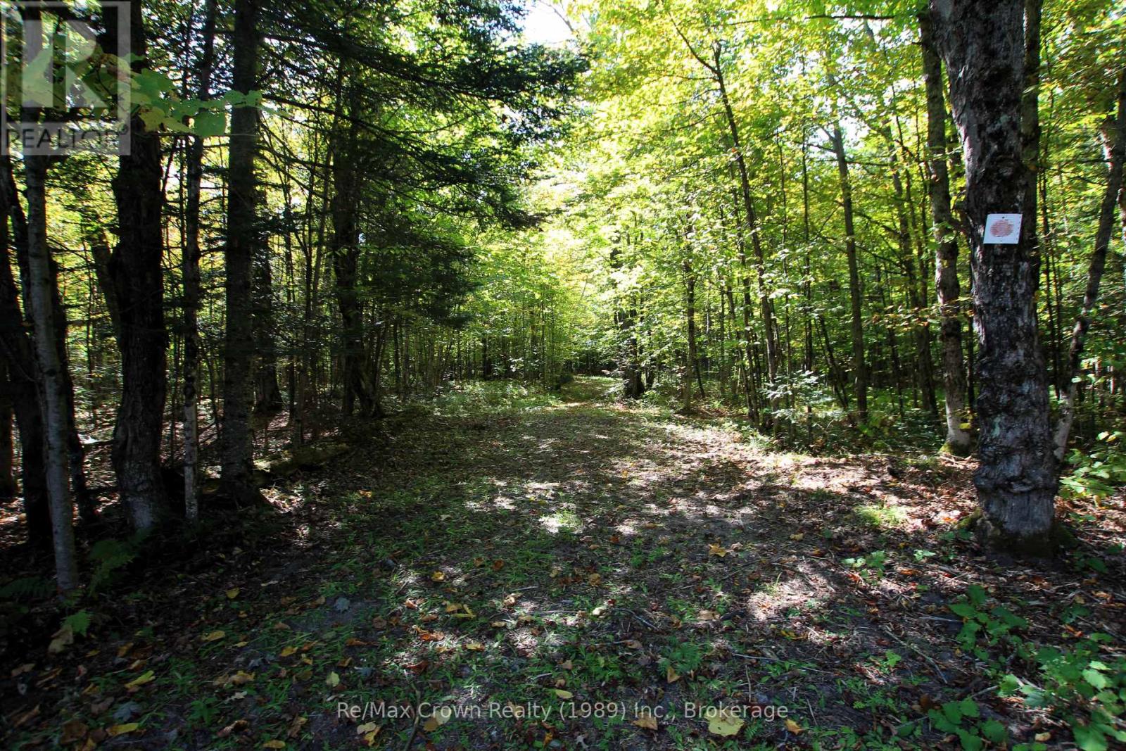 0 Lover's Lane, Parry Sound Remote Area (East Mills), Ontario  P0H 1S0 - Photo 4 - X12198660