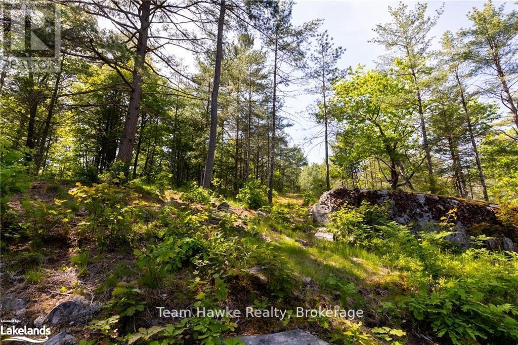 6528 Severn River, Georgian Bay (Baxter), Ontario  L0K 1E0 - Photo 11 - X12198843