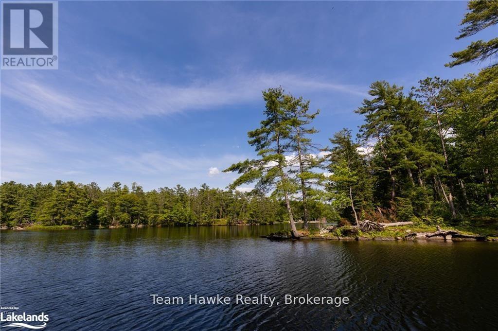 6528 Severn River Shore, Georgian Bay (Baxter), Ontario  L0K 1E0 - Photo 14 - X12198843
