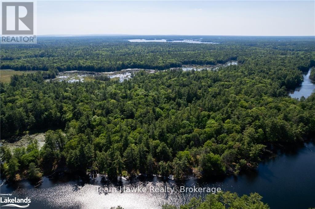 6528 Severn River, Georgian Bay (Baxter), Ontario  L0K 1E0 - Photo 16 - X12198843