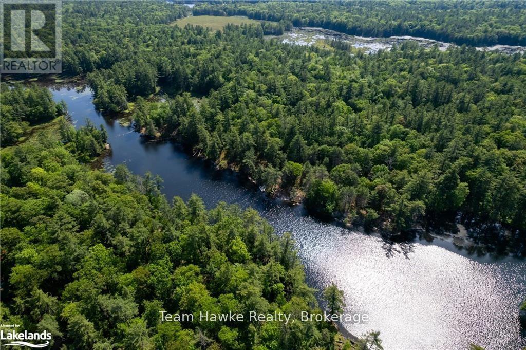 6528 Severn River Shore, Georgian Bay (Baxter), Ontario  L0K 1E0 - Photo 2 - X12198843