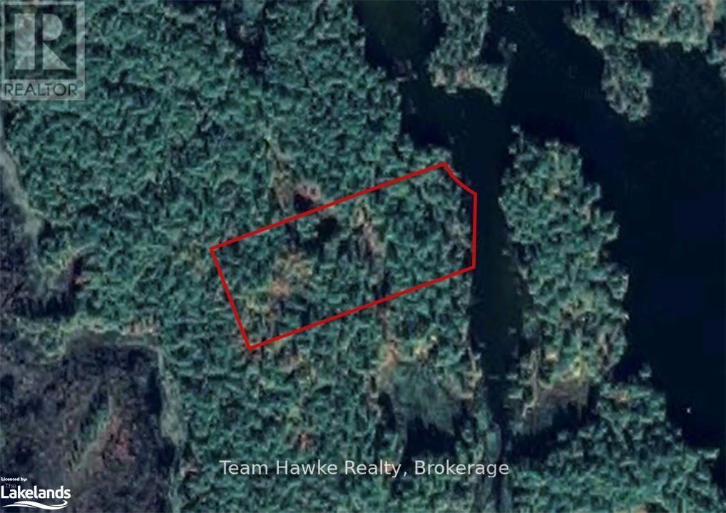 6528 Severn River, Georgian Bay (Baxter), Ontario  L0K 1E0 - Photo 6 - X12198843