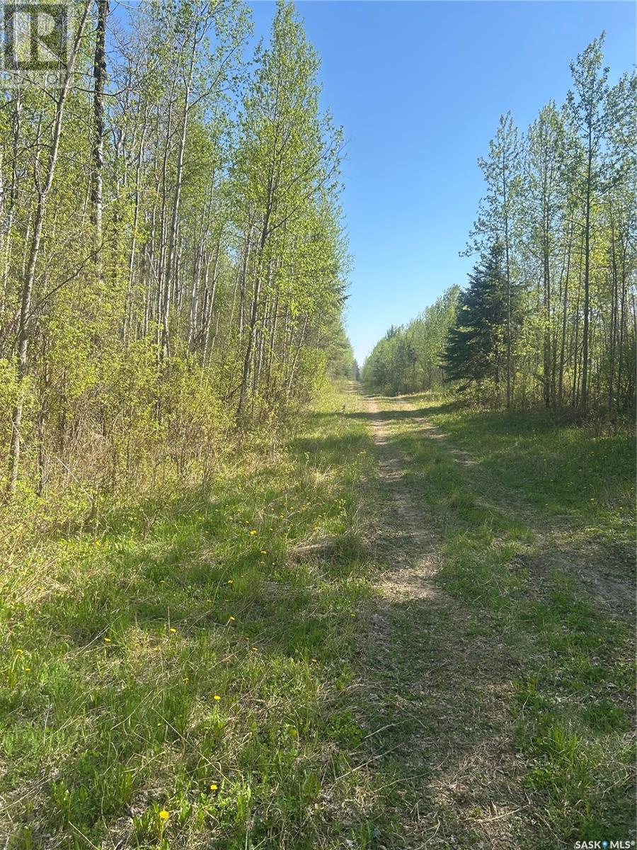 Hodgetts Rec Land, Hazel Dell Rm No. 335, Saskatchewan  S0A 0W0 - Photo 8 - SK002645