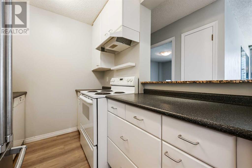 602, 317 14 Avenue Sw, Calgary, Alberta  T2R 0M4 - Photo 9 - A2222893