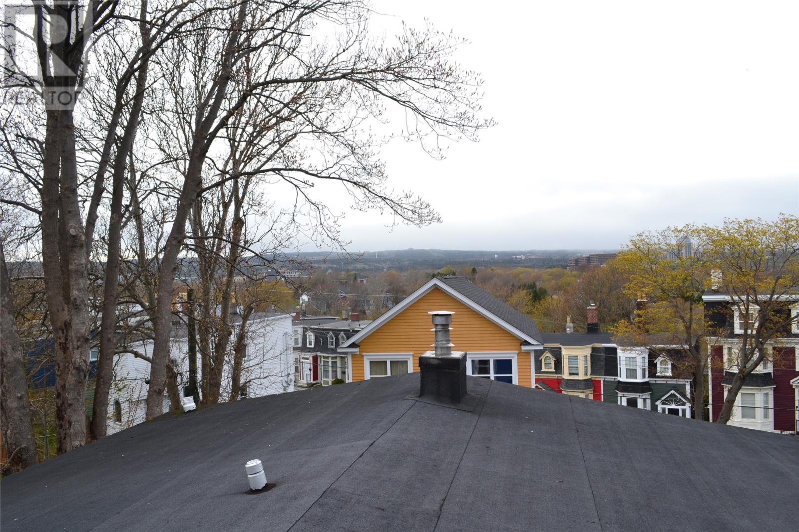 12 Fleming Street, St. Johns, Newfoundland & Labrador  A1C 3A2 - Photo 16 - 1286049