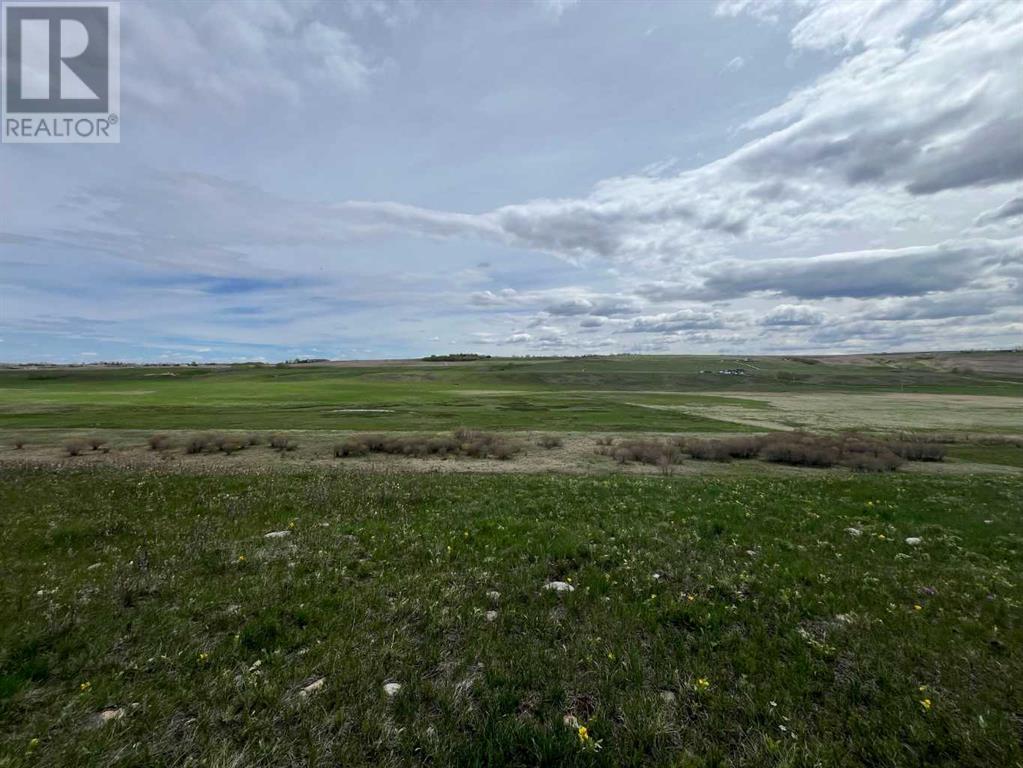 402138 Meridian Street, Rural Foothills County, Alberta  T1S 1A8 - Photo 7 - A2227210