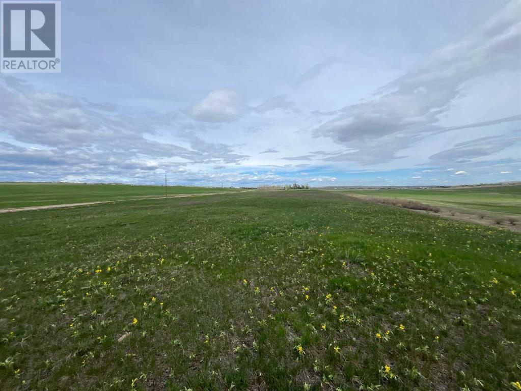 402138 Meridian Street, Rural Foothills County, Alberta  T1S 1A8 - Photo 8 - A2227210