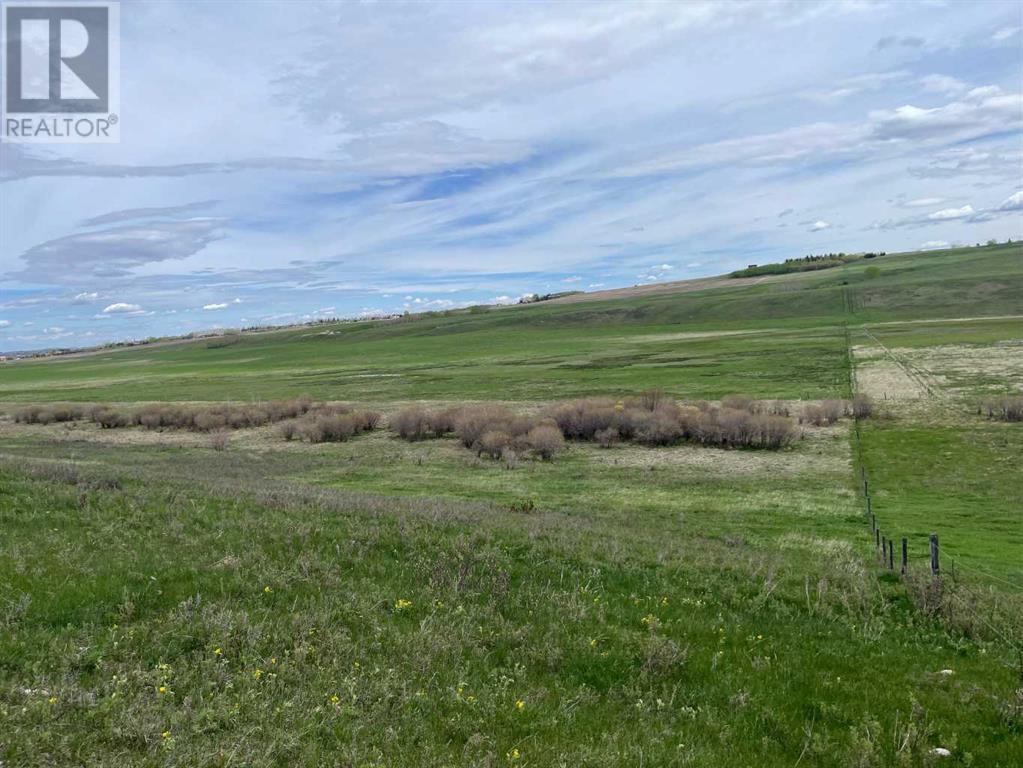 402138 Meridian Street, Rural Foothills County, Alberta  T1S 1A8 - Photo 9 - A2227210