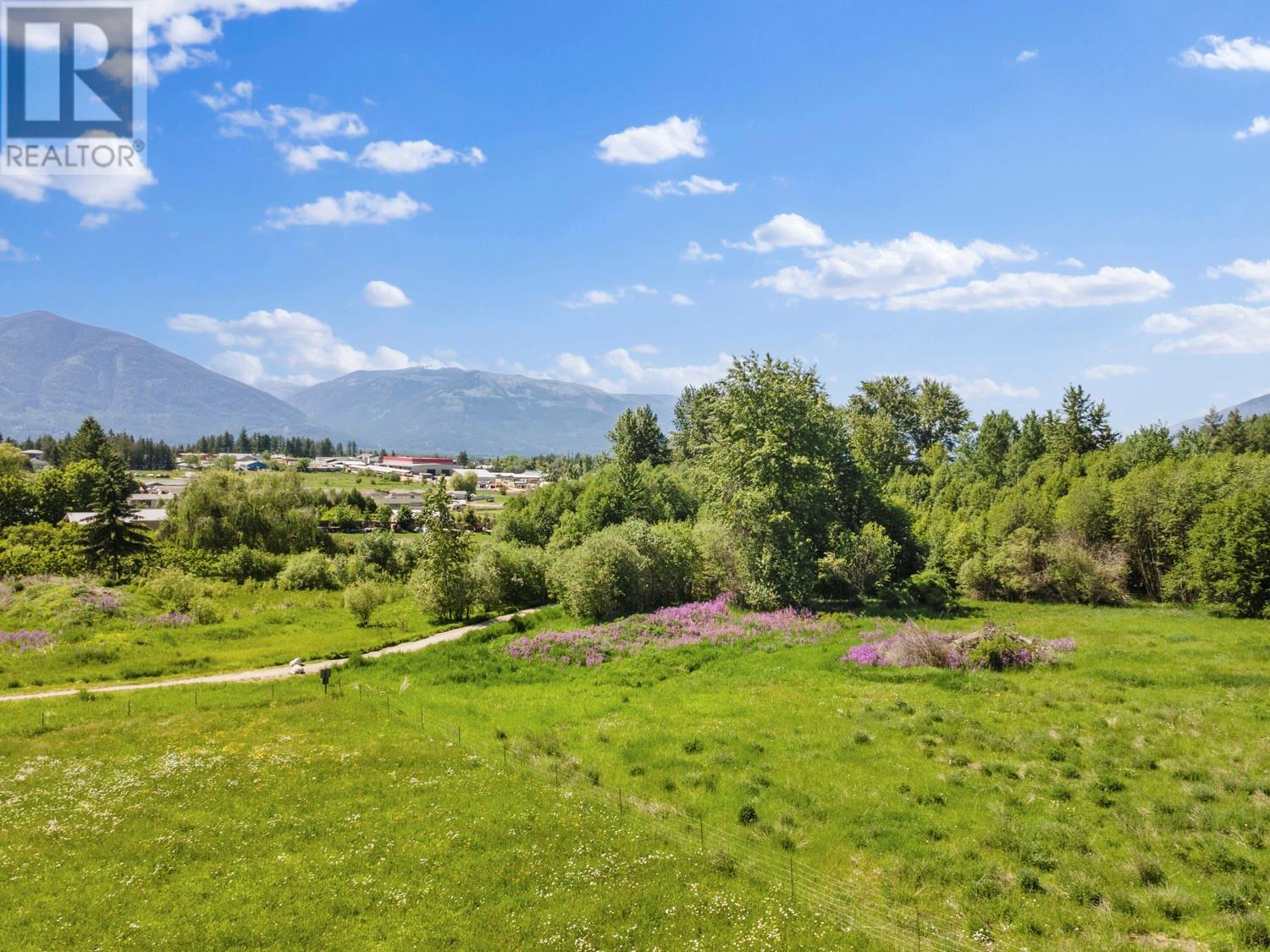 924 Devon Street, Creston, British Columbia V0B 1G6 - Photo 5 - 10350176