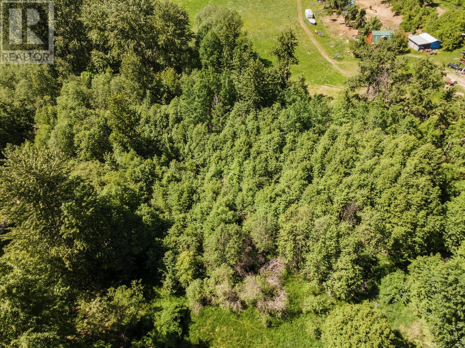 924 Devon Street, Creston, British Columbia V0B 1G6 - Photo 11 - 10350176