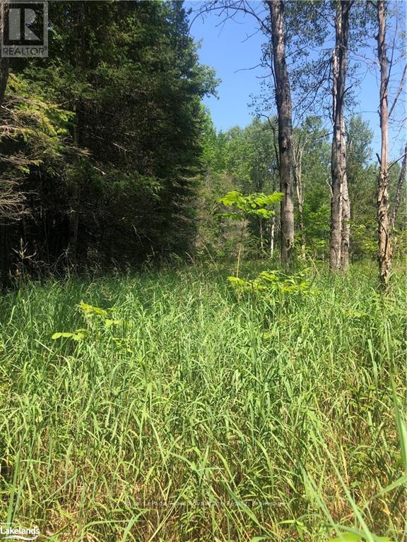 13 Lakeside Drive, Mckellar, Ontario  P2A 0B4 - Photo 23 - X12028038