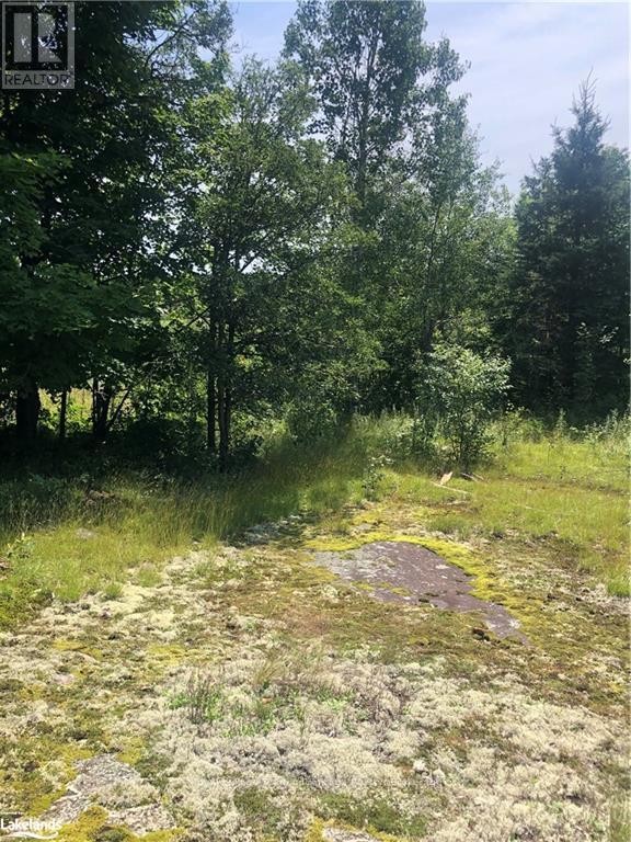 13 Lakeside Drive, Mckellar, Ontario  P2A 0B4 - Photo 21 - X12028038