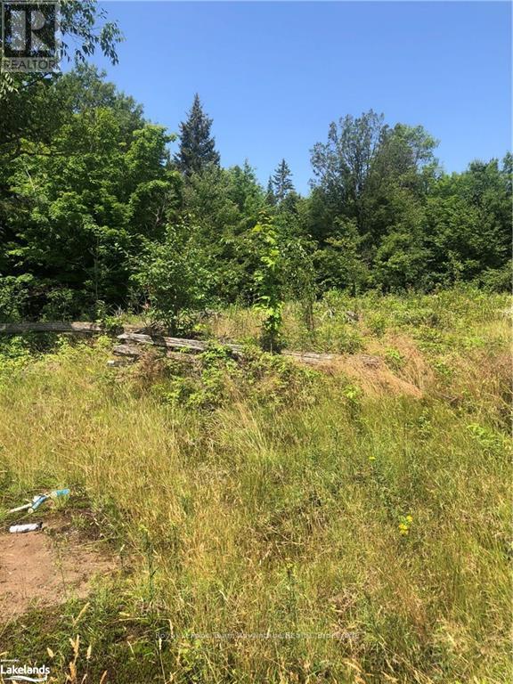 13 Lakeside Drive, Mckellar, Ontario  P2A 0B4 - Photo 19 - X12028038