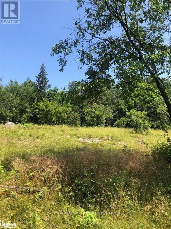 13 Lakeside Drive, Mckellar, Ontario  P2A 0B4 - Photo 22 - X12028038