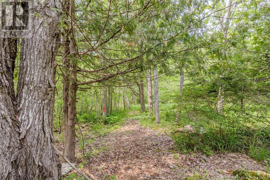 2059 705 Route, Wickham, New Brunswick  E5T 3R8 - Photo 26 - NB120060