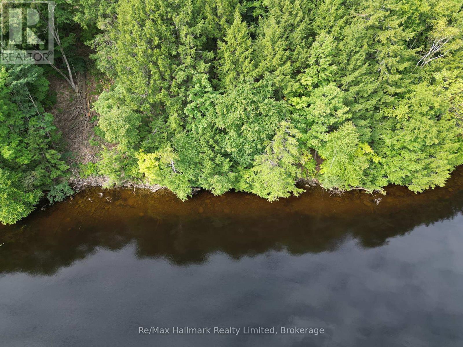 171 Town Line Road E, Huntsville (Chaffey), Ontario  P1H 1G1 - Photo 15 - X12199093