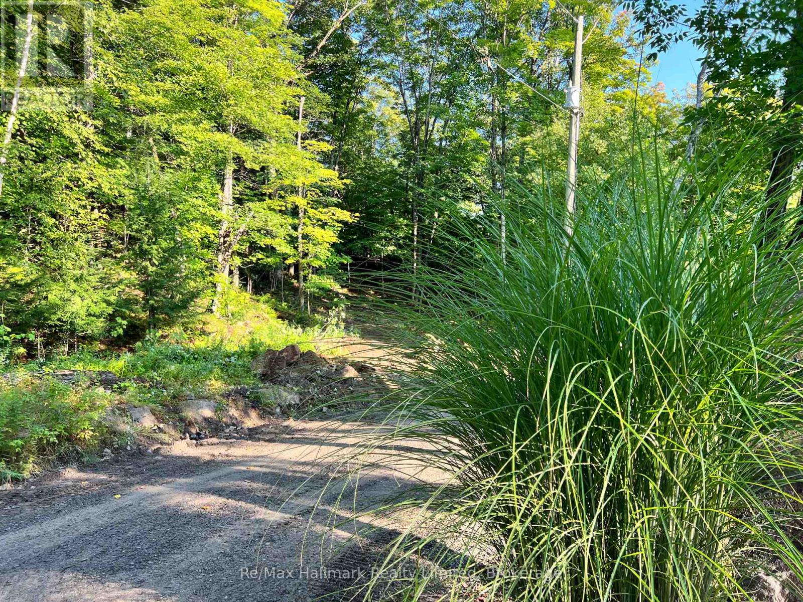 171 Town Line Road E, Huntsville (Chaffey), Ontario  P1H 1G1 - Photo 5 - X12199093