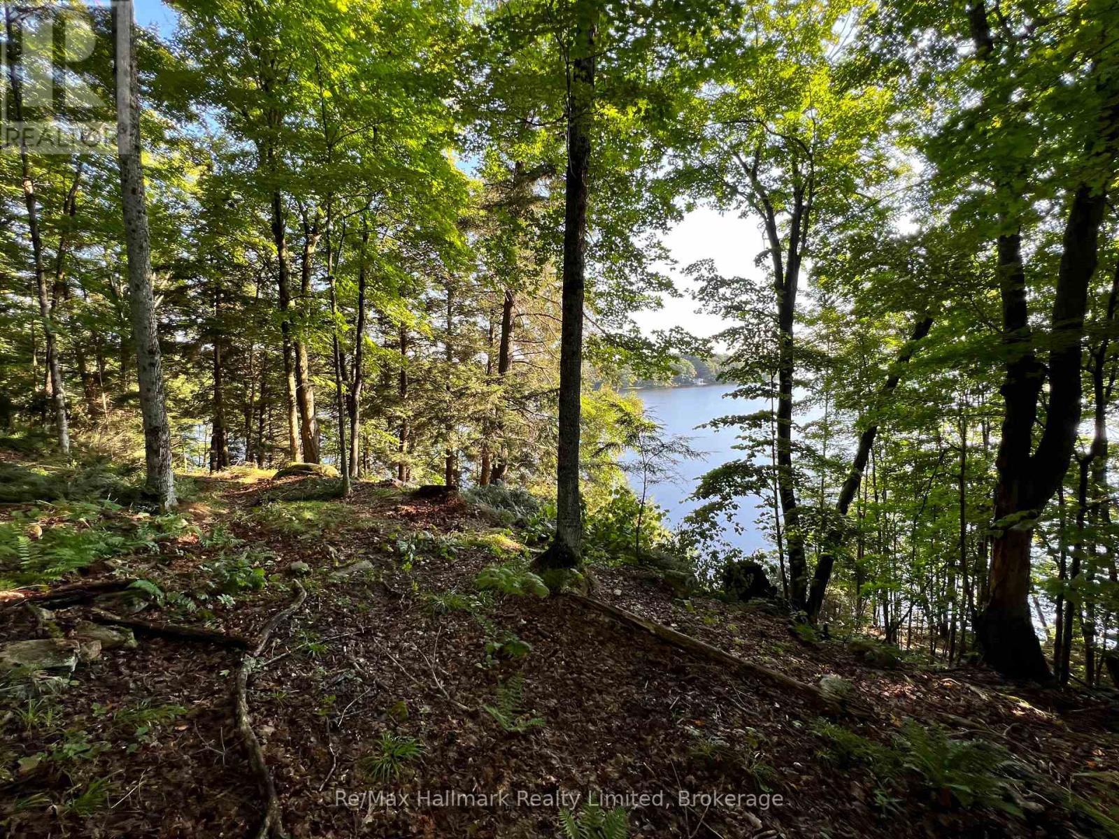 171 Town Line Road E, Huntsville (Chaffey), Ontario  P1H 1G1 - Photo 8 - X12199093