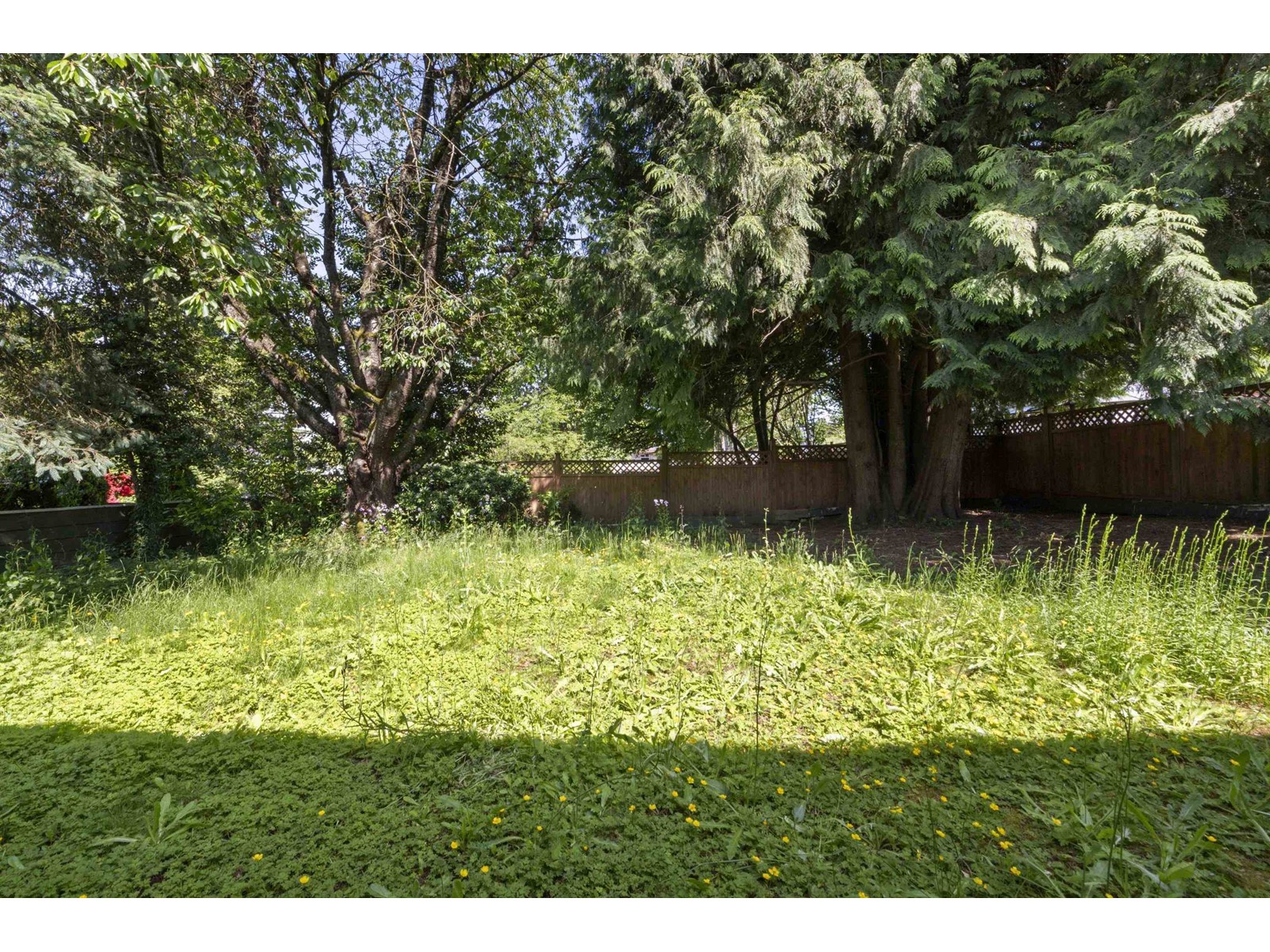 9964 123a Street, Surrey, British Columbia  V3V 4R2 - Photo 36 - R3011721