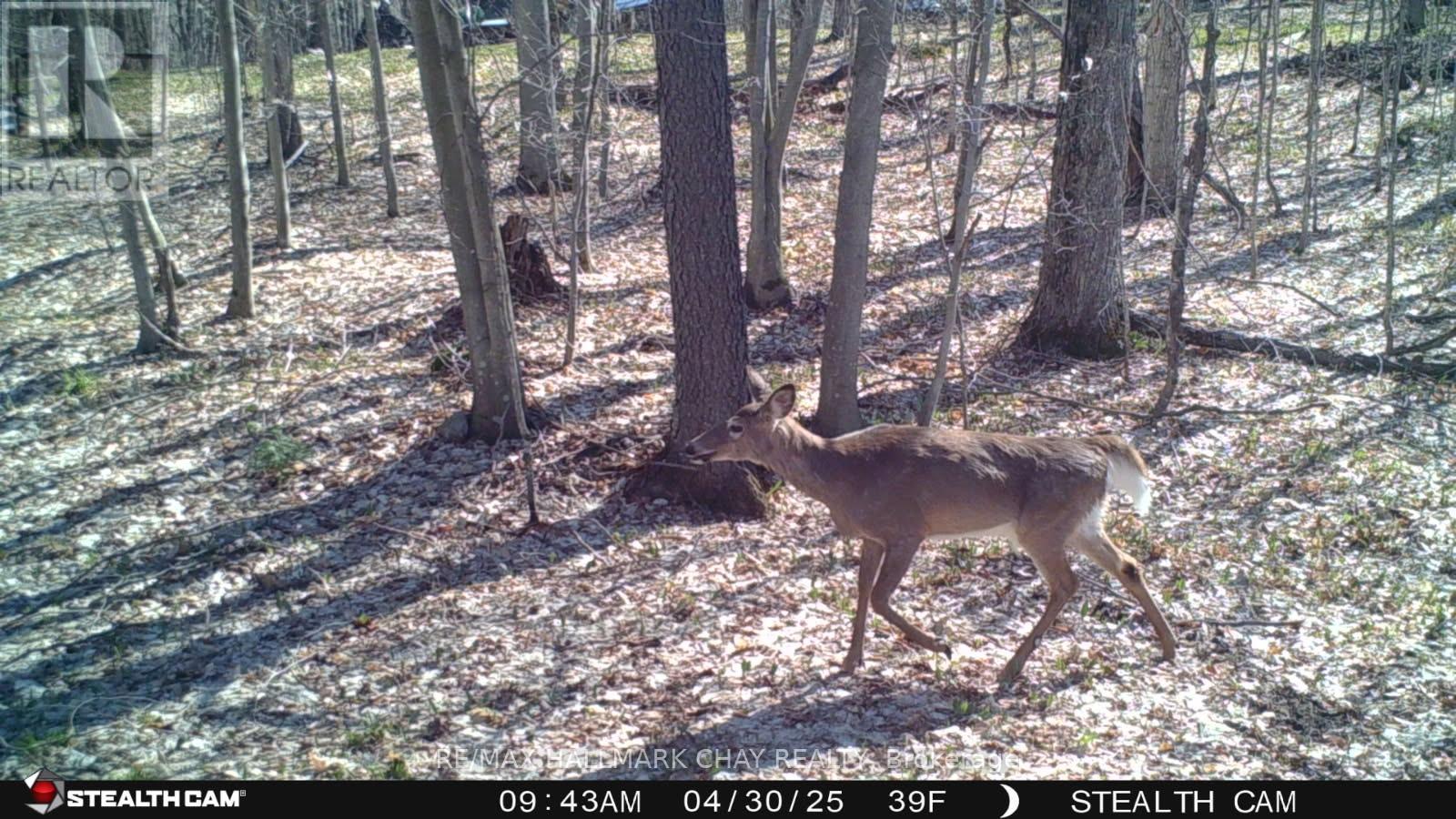 Pt Lots 24 & 25 Con 5 Concession, Ryerson, Ontario  P0A 1C0 - Photo 22 - X12199071