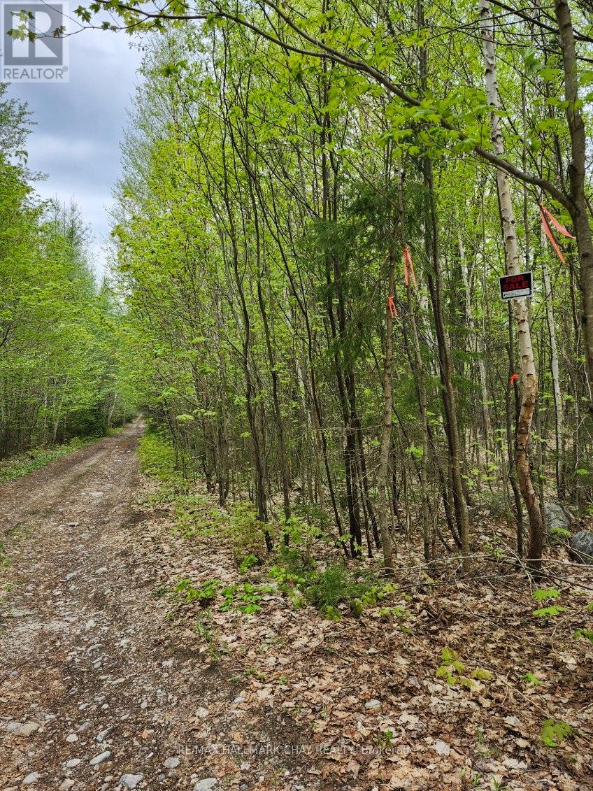 Pt Lots 24 & 25 Con 5 Concession, Ryerson, Ontario  P0A 1C0 - Photo 26 - X12199071