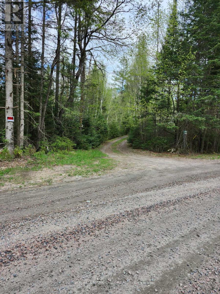 Pt Lots 24 & 25 Con 5 Concession, Ryerson, Ontario  P0A 1C0 - Photo 4 - X12199071