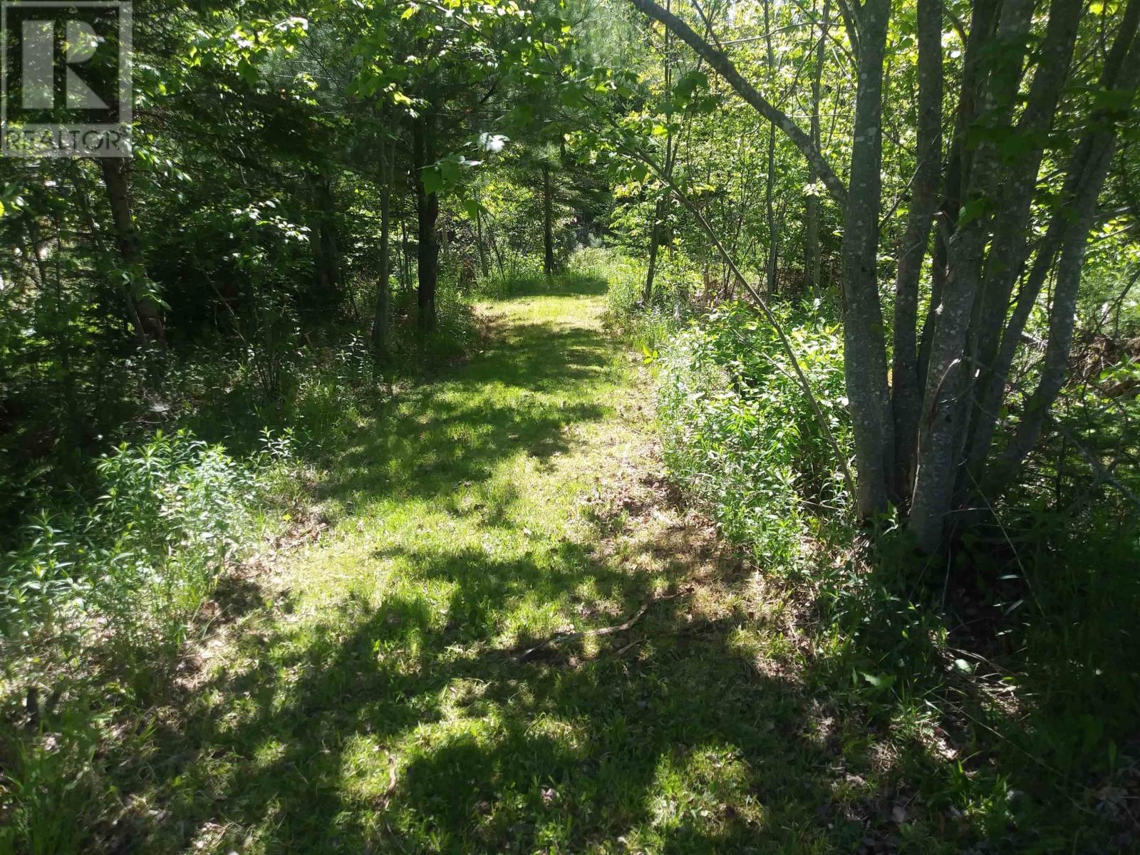 Property at 128 Glenmore Road image 5