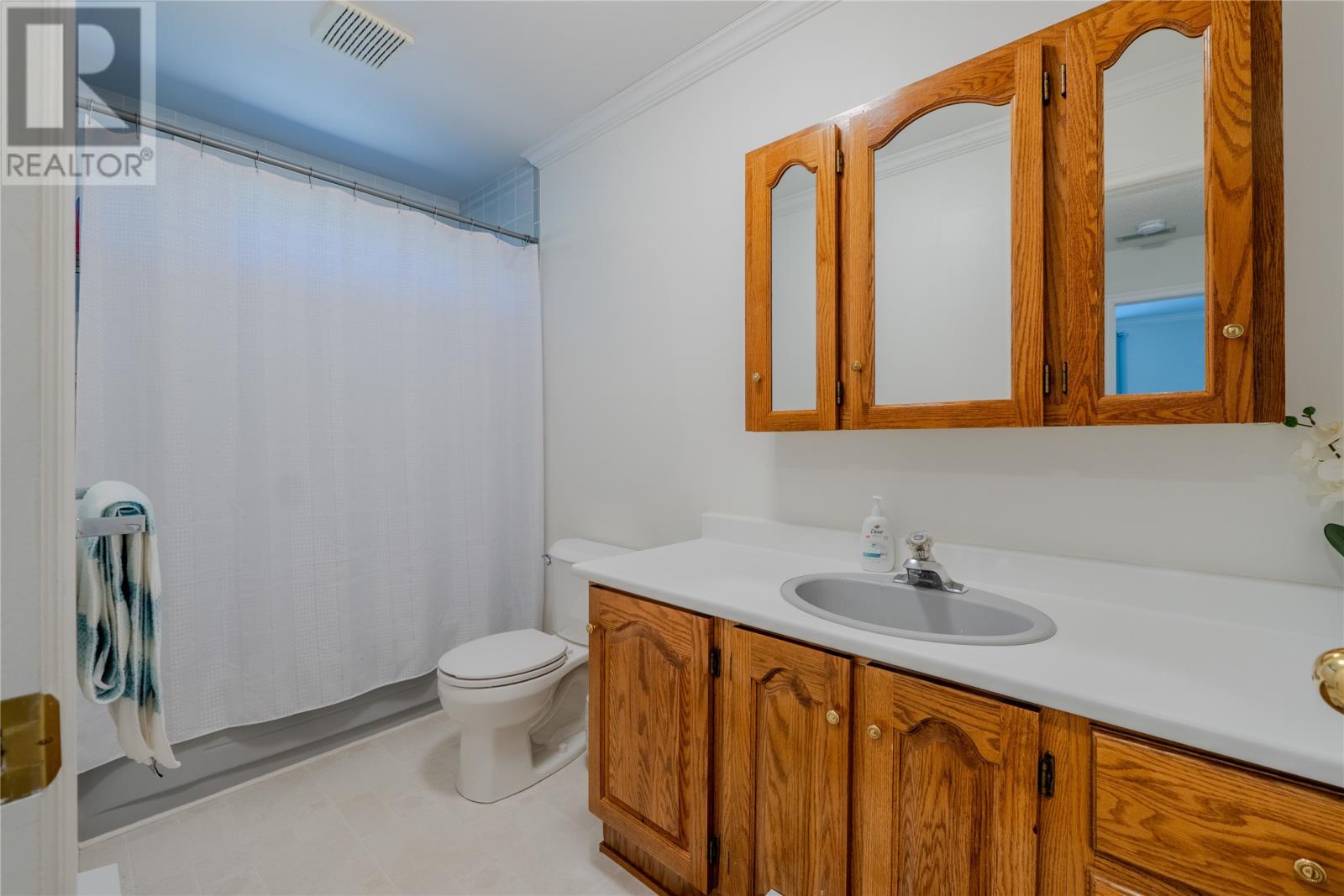 29 Spruce Hill Place, Conception Bay South, Newfoundland & Labrador  A1W 5N1 - Photo 30 - 1285902
