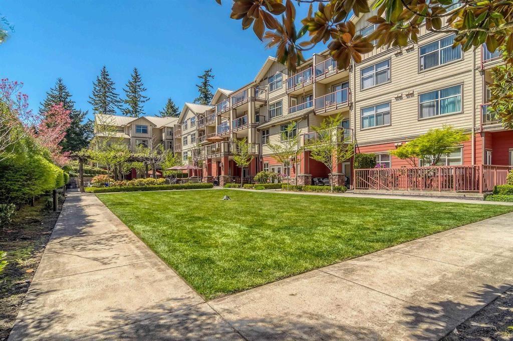 109 2511 King George Boulevard, Surrey, British Columbia  V4P 0C7 - Photo 25 - R3010015