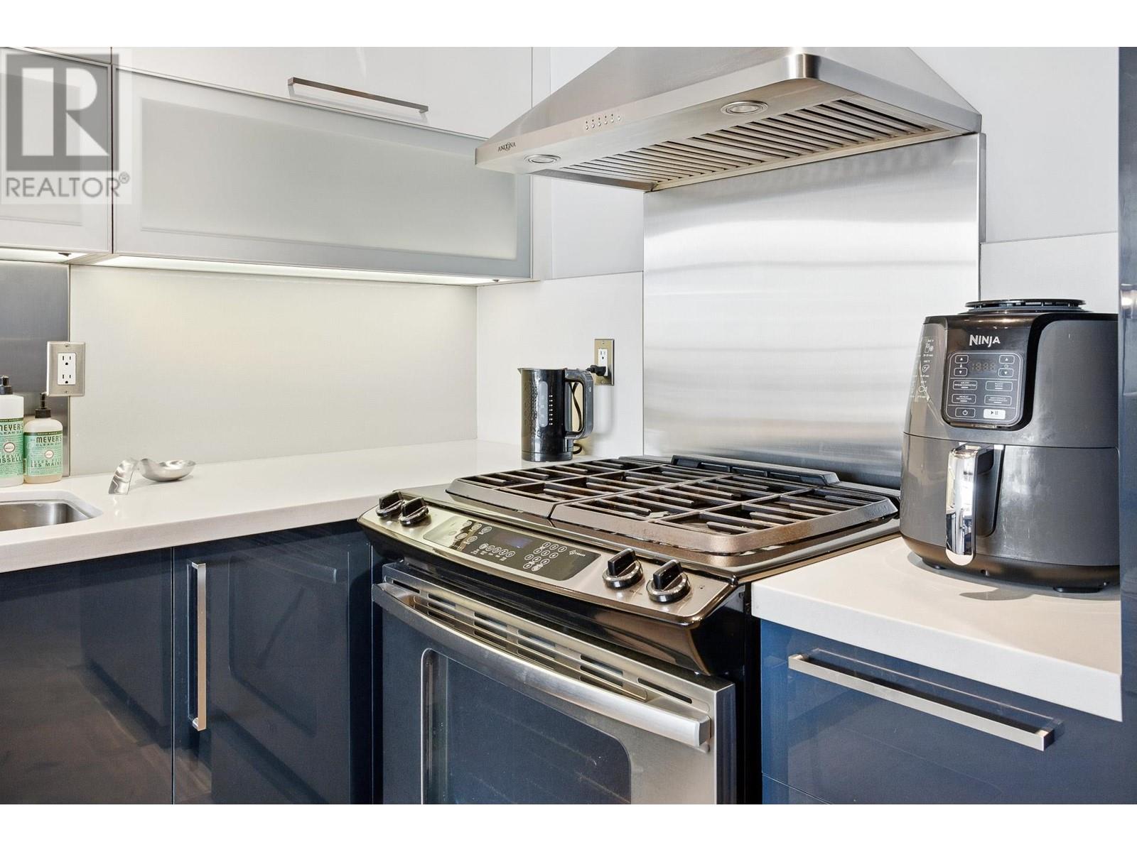 303 128 W 6th Avenue, Vancouver, British Columbia  V5Y 1K6 - Photo 24 - R3009710
