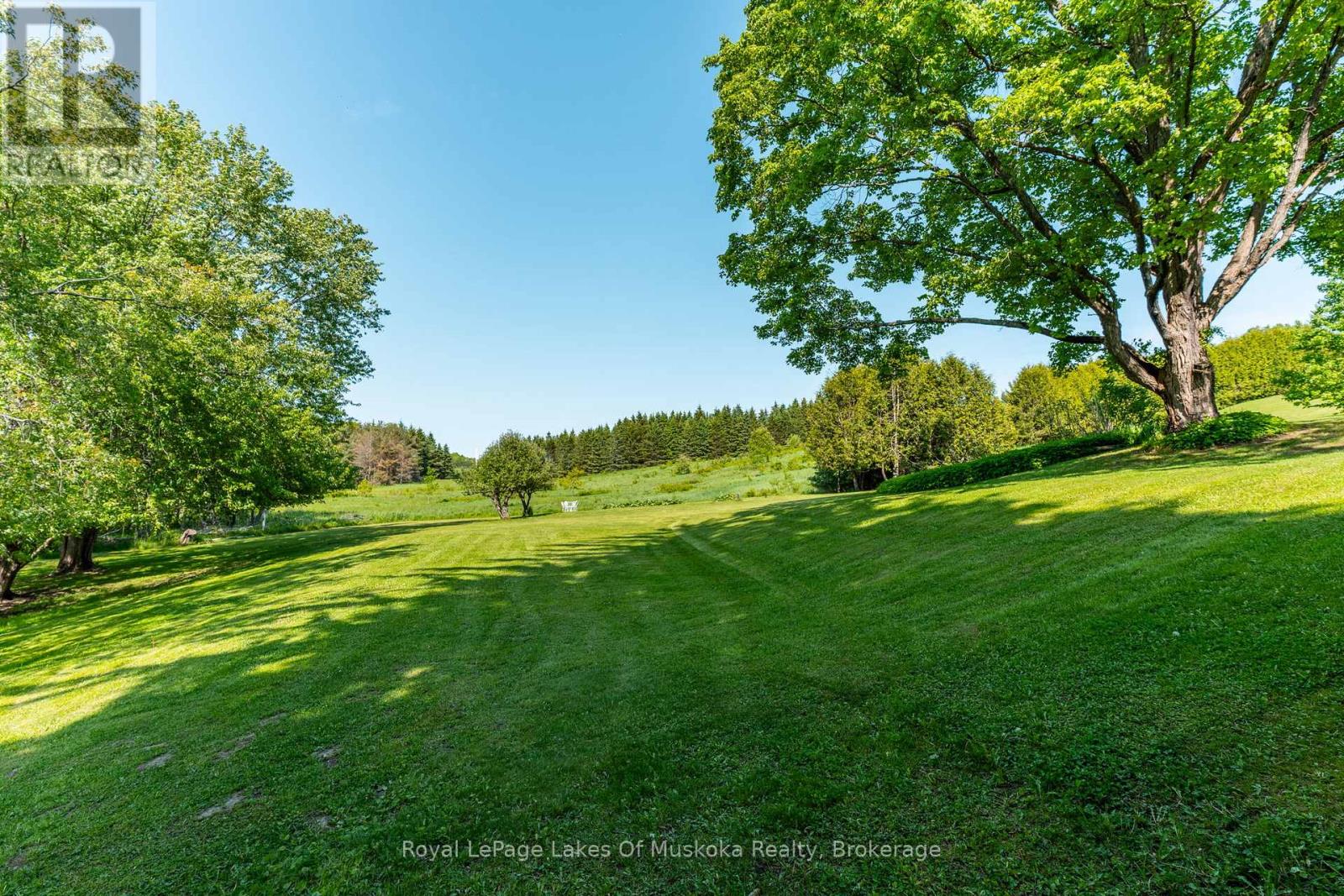 229 Fraserburg Road, Bracebridge, Ontario  P1L 0G9 - Photo 42 - X12199447