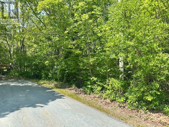 Lot Pid#70017504  Common Street, Pid#70017504, Liverpool, Nova Scotia  B0T 1K0 - Photo 1 - 202411075