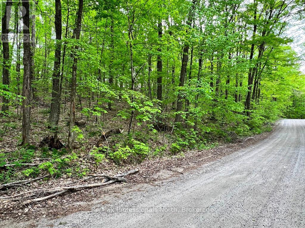 Salerno Lake Road, Highlands East, Ontario  K0M 1X0 - Photo 2 - X12118943