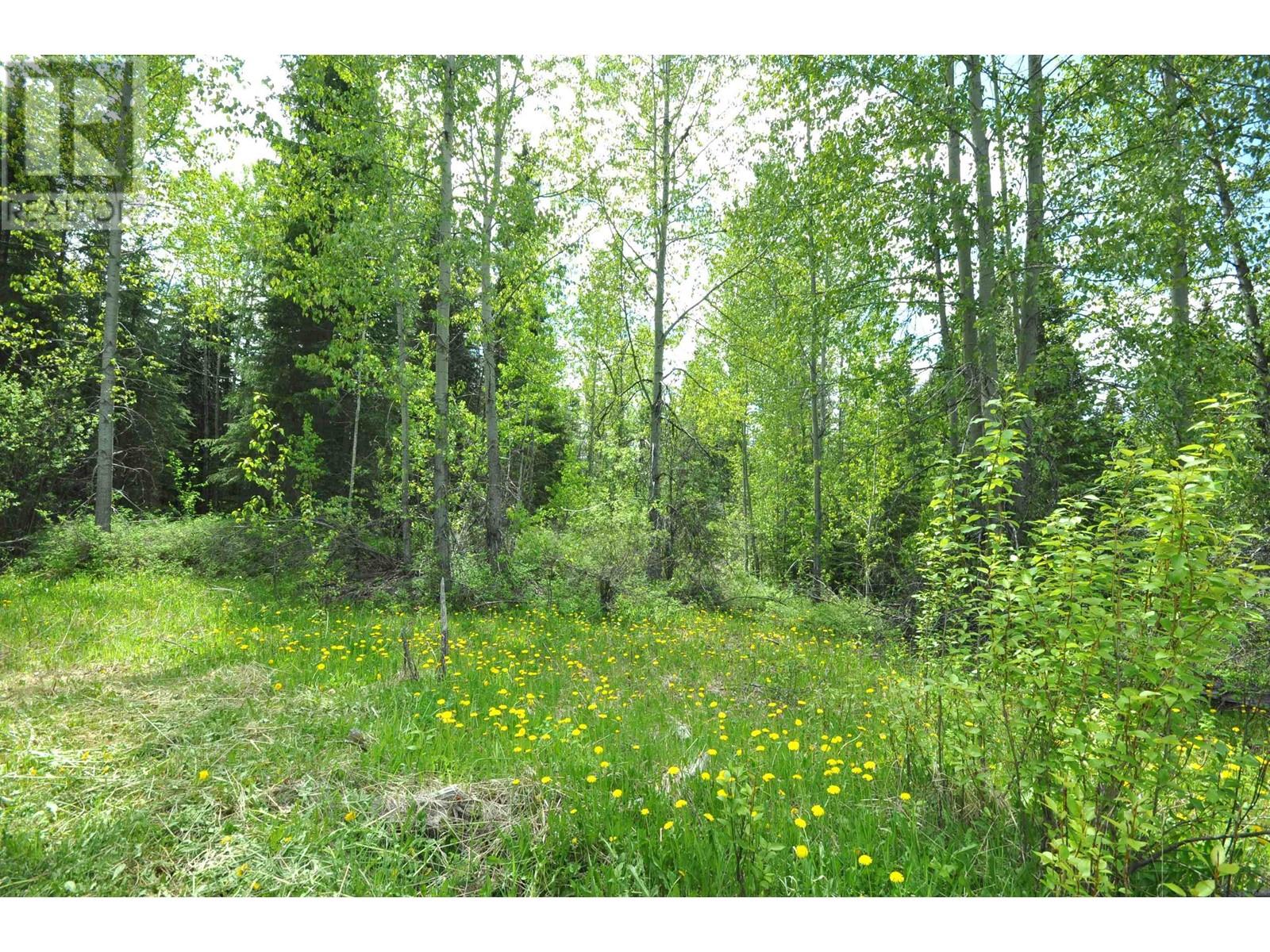 5065 Cave Road, Williams Lake, British Columbia  V0L 1L0 - Photo 8 - R3011911