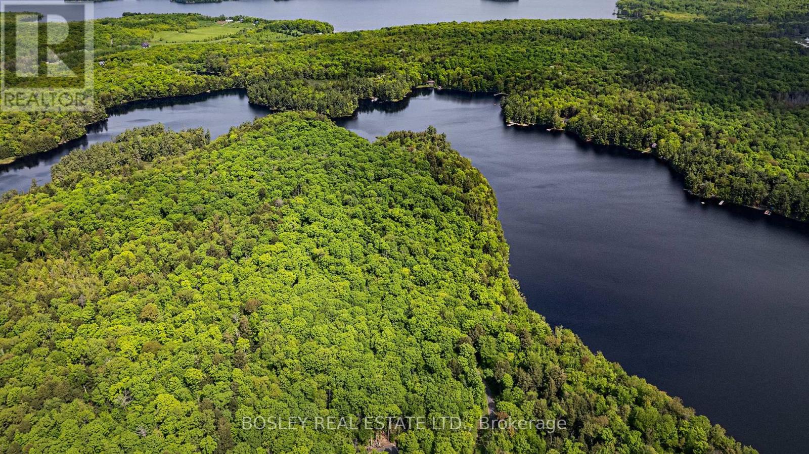 Unit 13 Lot 6 - 1310 Camel Lake Road, Muskoka Lakes (Watt), Ontario  P1L 1X4 - Photo 13 - X12199302
