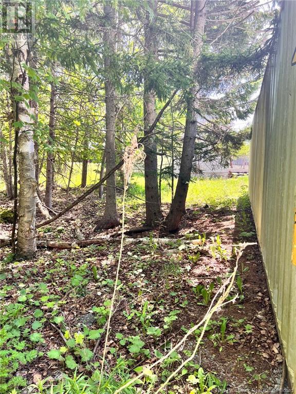 355 Hampton Road, Quispamsis, New Brunswick  E2E 4W1 - Photo 23 - NB120032