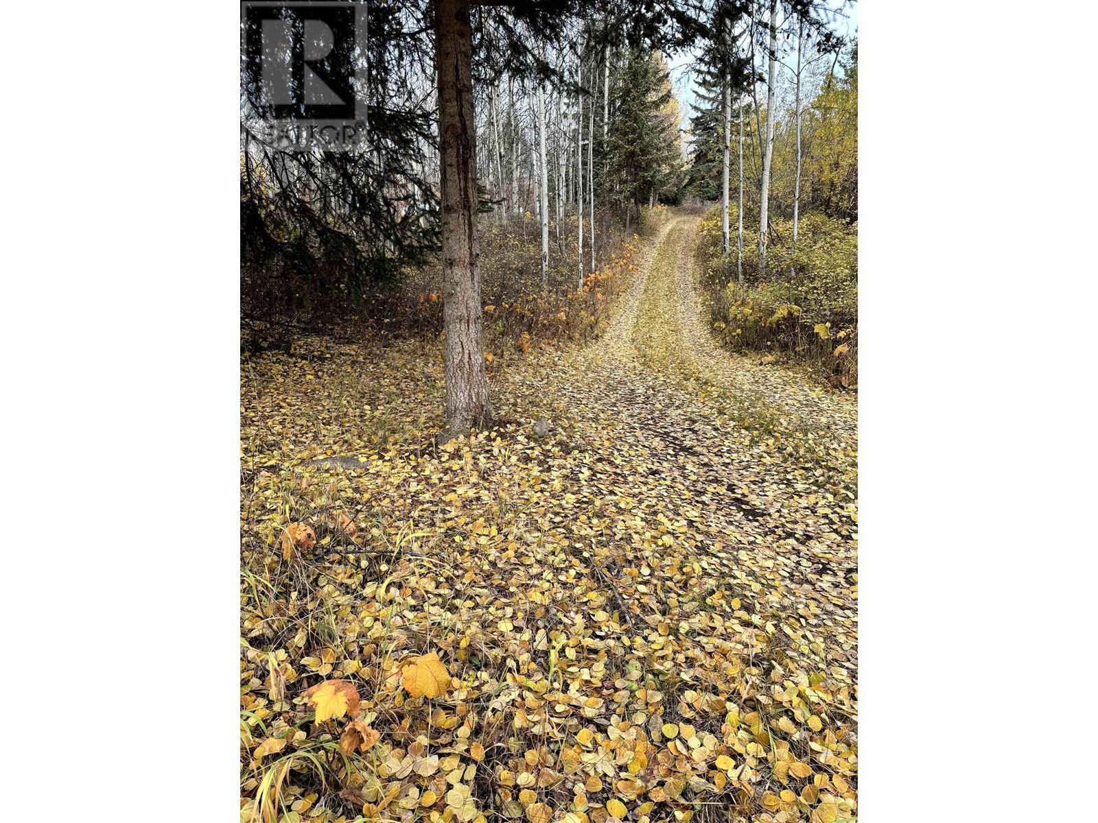 9410 Adams Road, Smithers, British Columbia  V0J 2N0 - Photo 25 - R3011752
