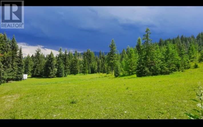 44 Hollingsworth Road, Cherryville, British Columbia  V0E 2G3 - Photo 40 - 10350996