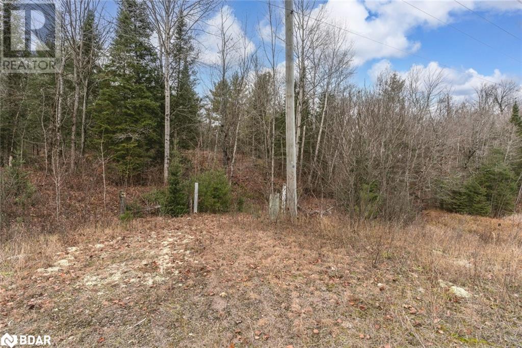 0 County Road 121, Minden, Ontario  K0M 2A1 - Photo 4 - 40738101