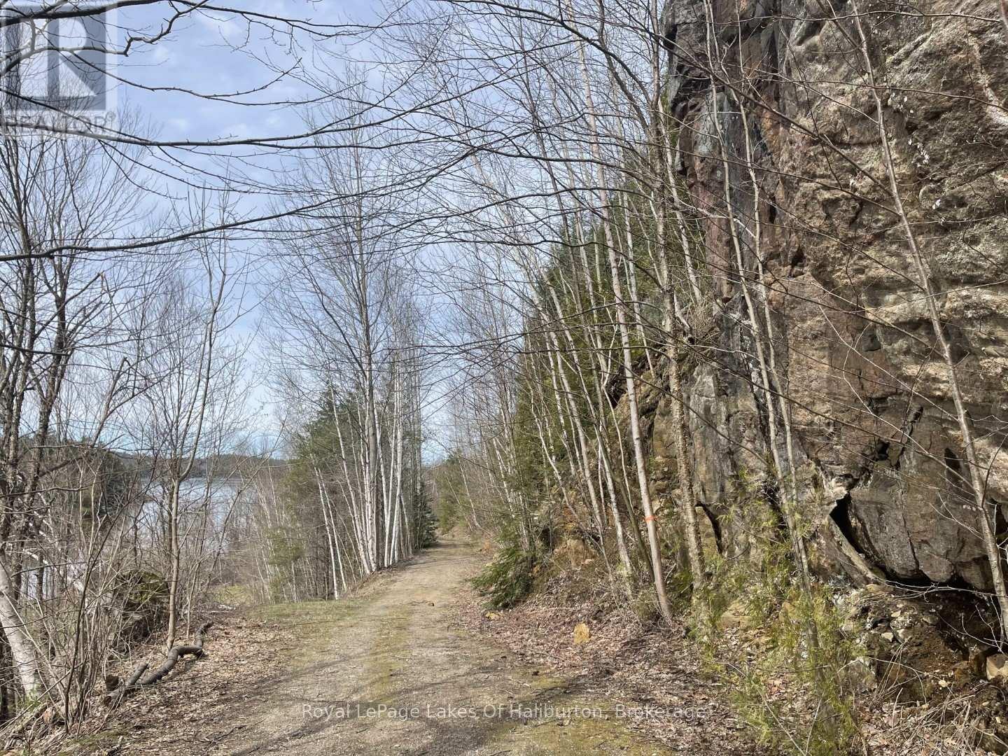0 Starlight Road, Minden Hills, Ontario  K0M 2K0 - Photo 19 - X12165580