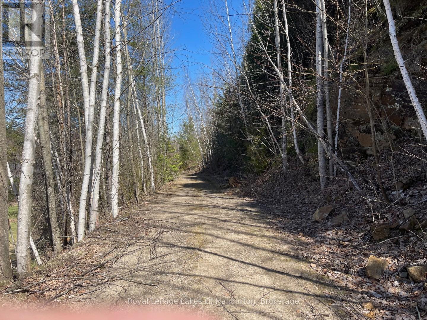 0 Starlight Road, Minden Hills, Ontario  K0M 2K0 - Photo 24 - X12165580