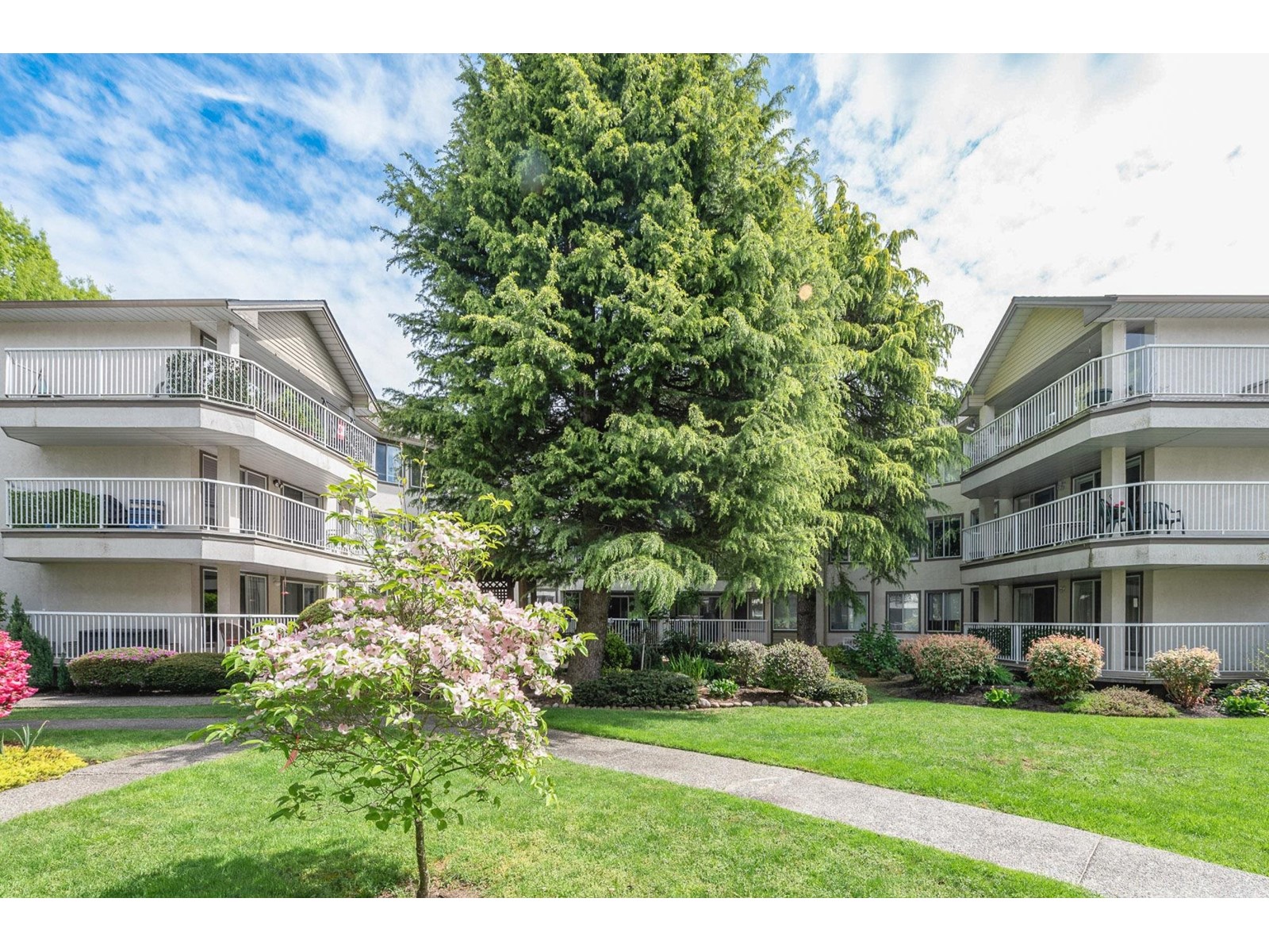 304 33401 Mayfair Avenue, Abbotsford, British Columbia  V2S 6Z2 - Photo 37 - R3011831