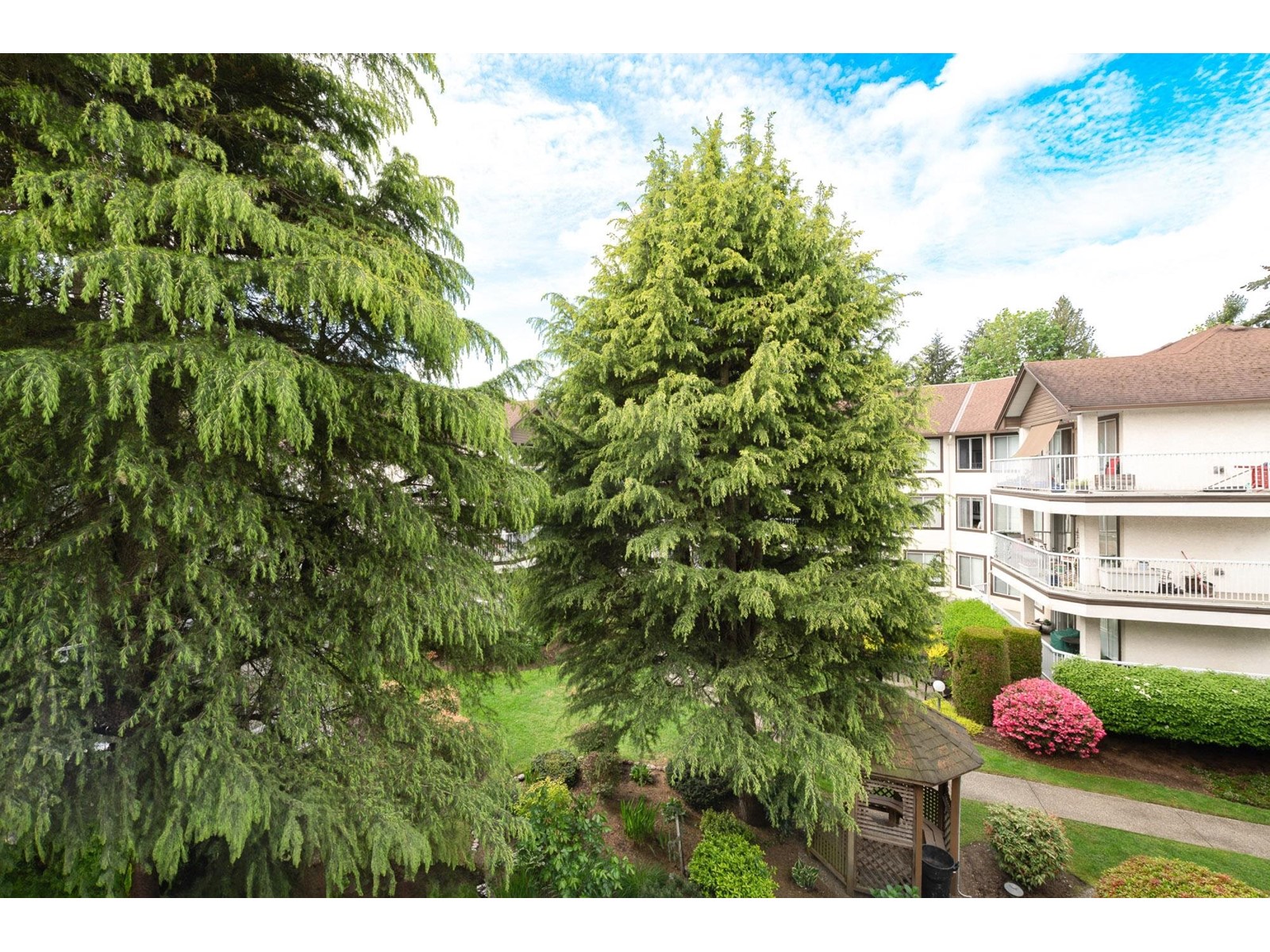 304 33401 Mayfair Avenue, Abbotsford, British Columbia  V2S 6Z2 - Photo 24 - R3011831