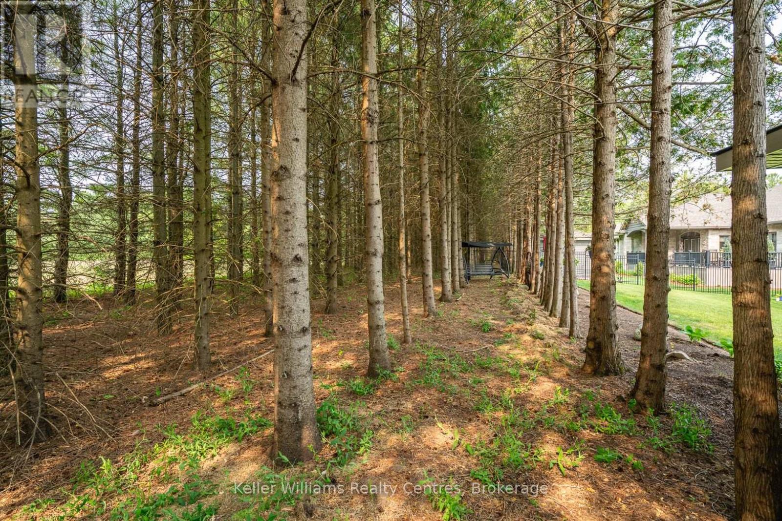 875 17th Street, Hanover, Ontario  N4N 0B7 - Photo 46 - X12199837
